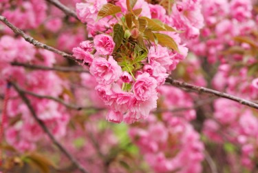 绍兴越城区线下个人借款平台一站式服务，轻松解决资金难题