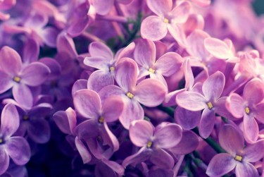 绍兴越城区企业急用钱贷款攻略：快速融资解燃眉之急